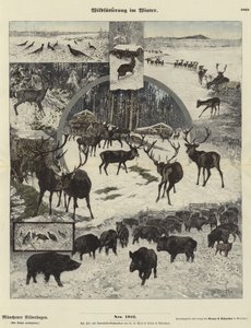 Nourrir la faune en hiver - German School