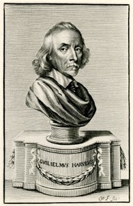 William Harvey - German School