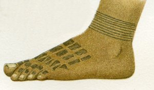 exemple de motifs de tatouage de pied Dayak, Bornéo, 1894 - German School