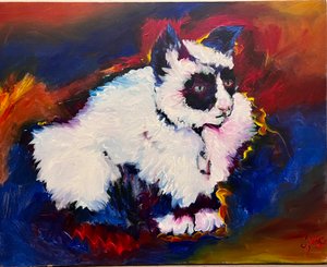 Bungee le chat - Gerrit Greve