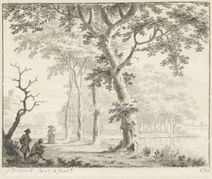 Arbres au bord de l