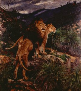 Lions en chasse - Geza Vastagh