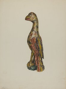 Perroquet allemand de Pennsylvanie, vers 1939 - Giacinto Capelli