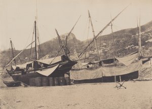 Salerne - Giacomo Caneva