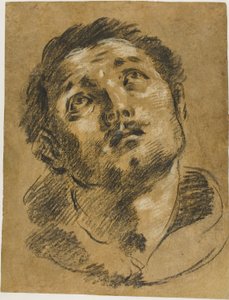 Tête de saint Étienne : Étude pour le martyre de saint Étienne - Giacomo Cavedone