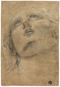 Tête de la Vierge regardant vers le haut - Giacomo Cavedone