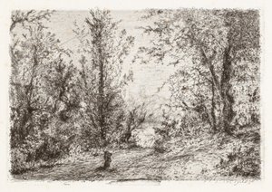 Forêt sur le Lac Majeur - Giberto Borromeo