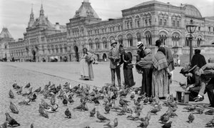 Nourrir les pigeons sur la Place Rouge, rangées de commerce supérieures en arrière-plan