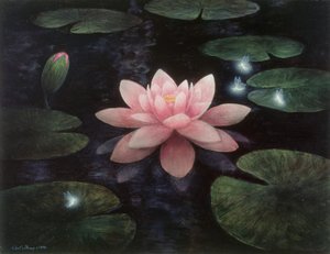 Sprites de lotus