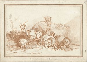 Moutons et chèvre couchés