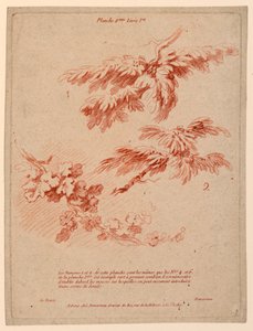 Planche 2 du Livre Ier, Principes du dessin dans le genre du paysage - Gilles Demarteau