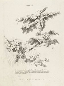 Étude de trois branches avec des feuilles (1er Cahier de paysage) - Gilles Demarteau