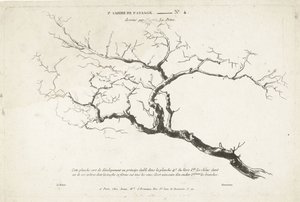 Étude de branche d