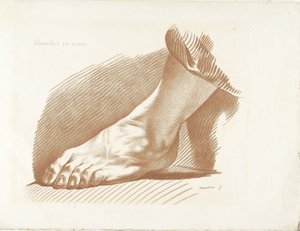 Étude du pied gauche