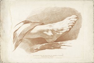 Étude du pied droit (Quatrième Livre de Principes du Dessein au Crayon)