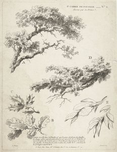 Étude de branches avec feuilles (1er Cahier de paysage) - Gilles Demarteau