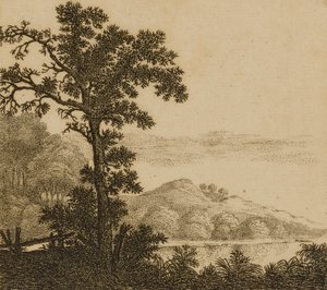 Paysage
