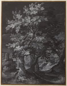 Scène de forêt