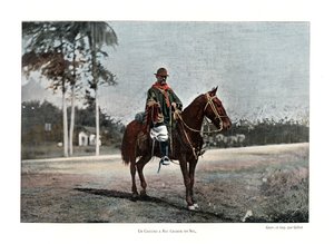 Vacher, Rio Grande do Sul, Brésil - Gillot