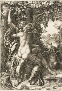 Angélique et Médor - Giorgio Ghisi