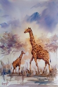 La famille des girafes africaines - Giorgio Gosti