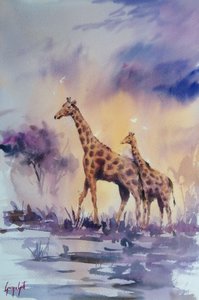 Girafes au coucher de soleil africain - Giorgio Gosti