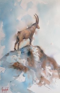 Le majestueux bouquetin des Alpes