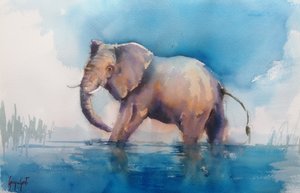 Un éléphant majestueux pataugeant