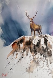 Un cerf majestueux dans les montagnes - Giorgio Gosti