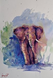 Majestueux éléphant à l