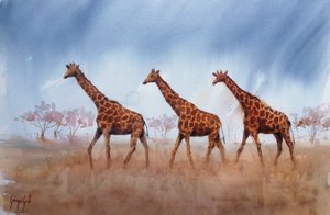 Trio de girafes Safari - Giorgio Gosti