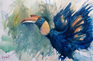 Calao bleu tropical