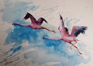 Vol de flamants roses aux couleurs vives - Giorgio Gosti