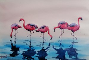 Des flamants roses pataugeant - Giorgio Gosti
