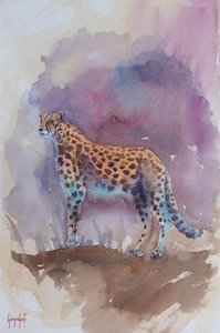 Guépard 13 - Giorgio Gosti