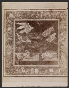 Mosaïque de Palombi, Musée national de Naples - Giorgio Sommer
