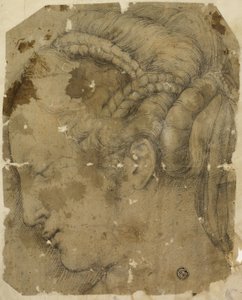 Tête de femme de profil à gauche - Giorgio Vasari