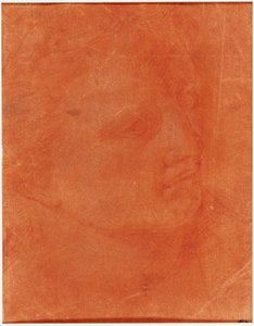 Tête en profil trois-quarts (recto); Jeune homme debout pointant à gauche et croquis de pieds, bras (verso)