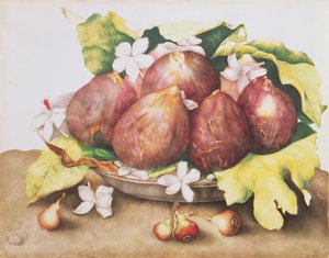 Figues sur feuilles - Giovanna Garzoni