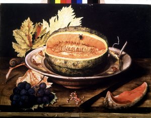 Pastèque avec mouche