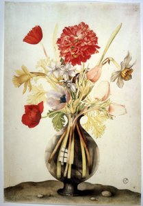 Image inconnue - Giovanna Garzoni