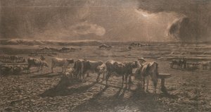 Soir (Pâturage, Alla stanga)