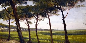 Une ligne de vieux pins - Giovanni Costa