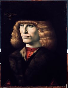 Portrait de jeune homme, vers 1495