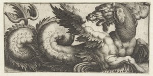 Phoque ailé regardant en arrière - Giovanni Andrea Maglioli