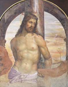 Christ à la colonne - Giovanni Antonio Bazzi Sodoma