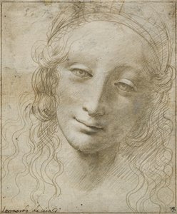 Tête de femme - Giovanni Antonio Boltraffio