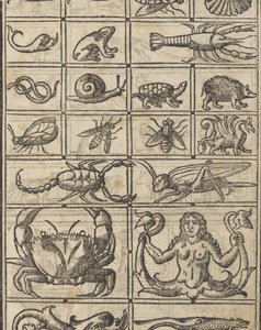 Essempio di recammi, page 11 recto, 1530