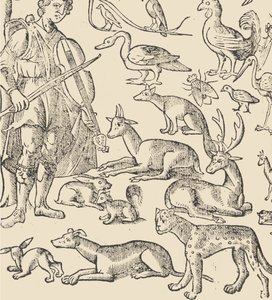 Essempio di recammi, page 12 verso, 1530
