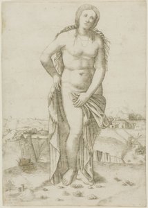 Vénus - Giovanni Antonio da Brescia